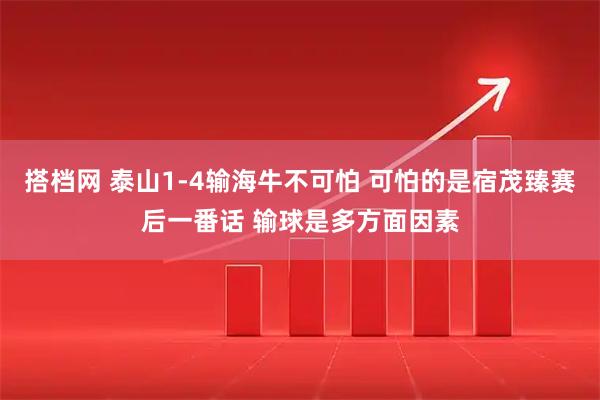 搭档网 泰山1-4输海牛不可怕 可怕的是宿茂臻赛后一番话 输球是多方面因素